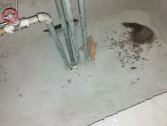 汕头市卫生间测漏水价格明细