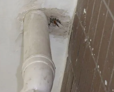 汕头市漏水检测哪家好